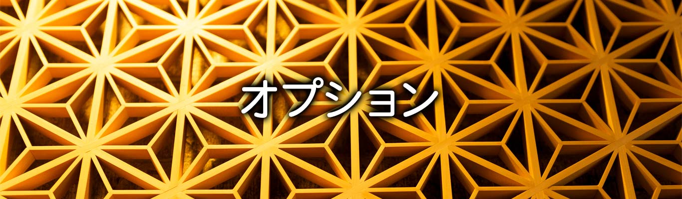 オプション
